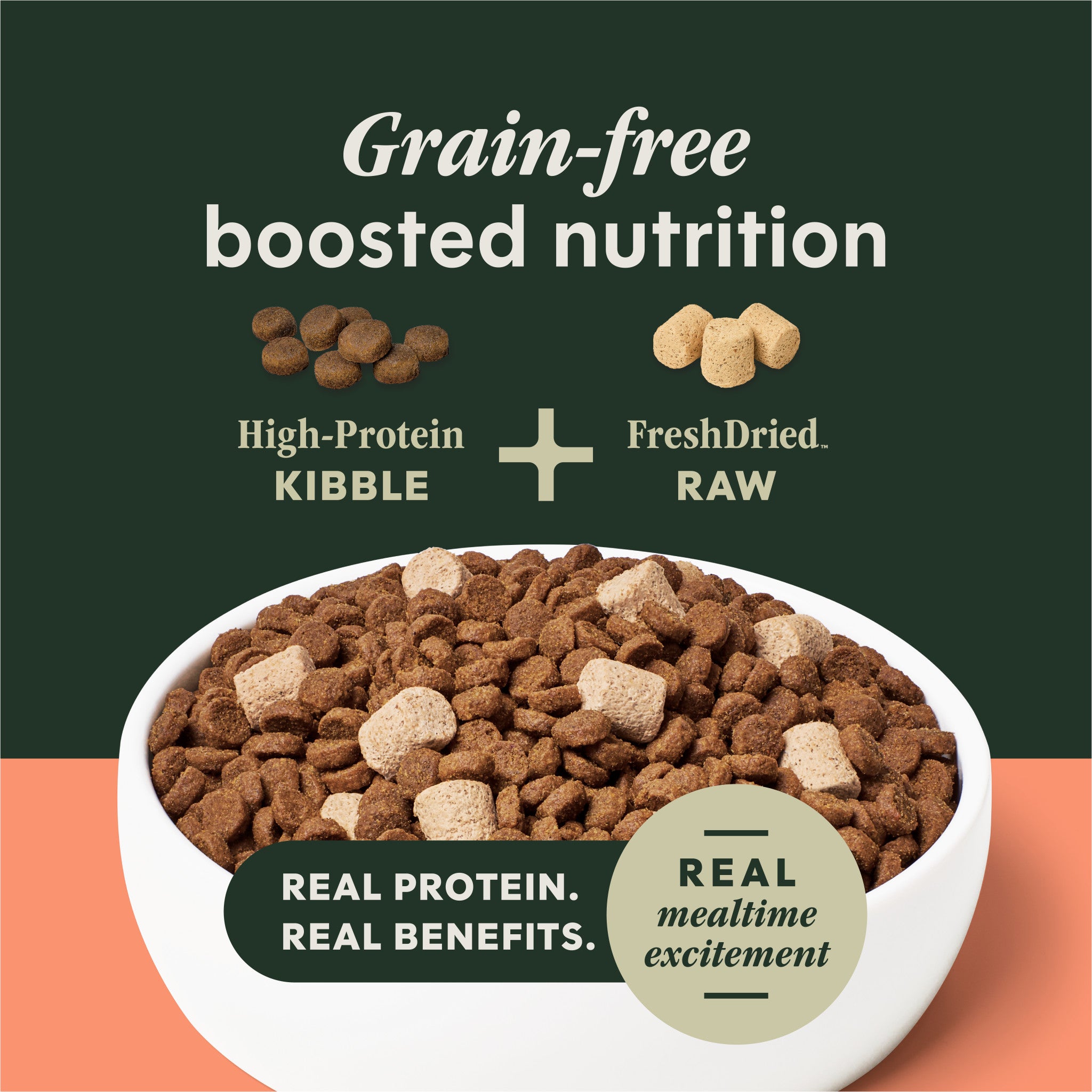 RawBoost+ Kibble Real Salmon Recipe