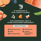 RawBoost+ Kibble Real Salmon Recipe