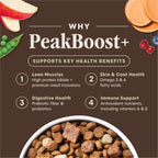 PeakBoost+ Kibble Real Salmon Recipe