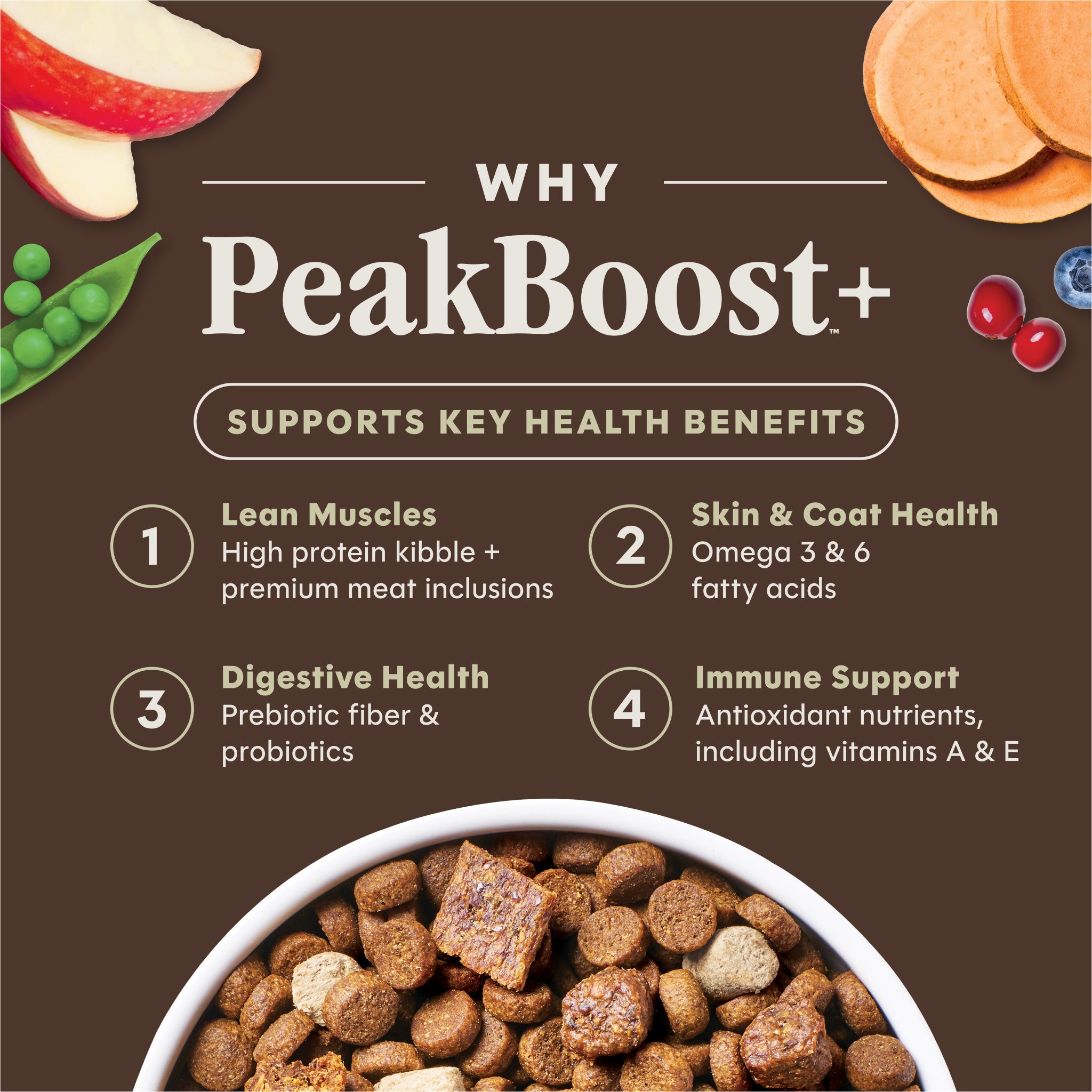 PeakBoost+ Kibble Real Salmon Recipe