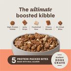 PeakBoost+ Kibble Real Salmon Recipe
