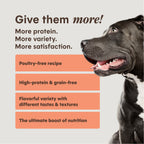 PeakBoost+ Kibble Real Salmon Recipe
