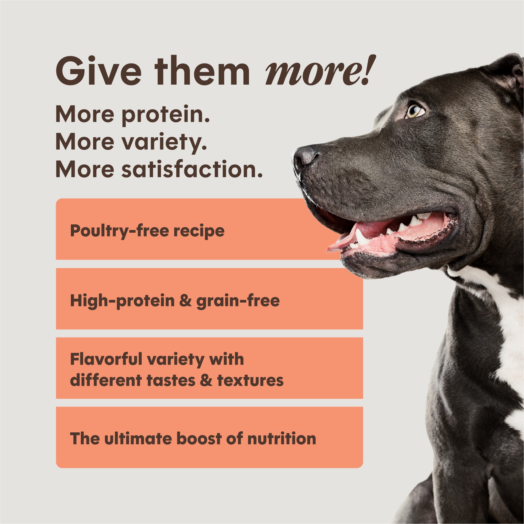 PeakBoost+ Kibble Real Salmon Recipe