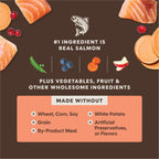 PeakBoost+ Kibble Real Salmon Recipe