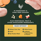 RawBoost+ Kibble Real Chicken Recipe