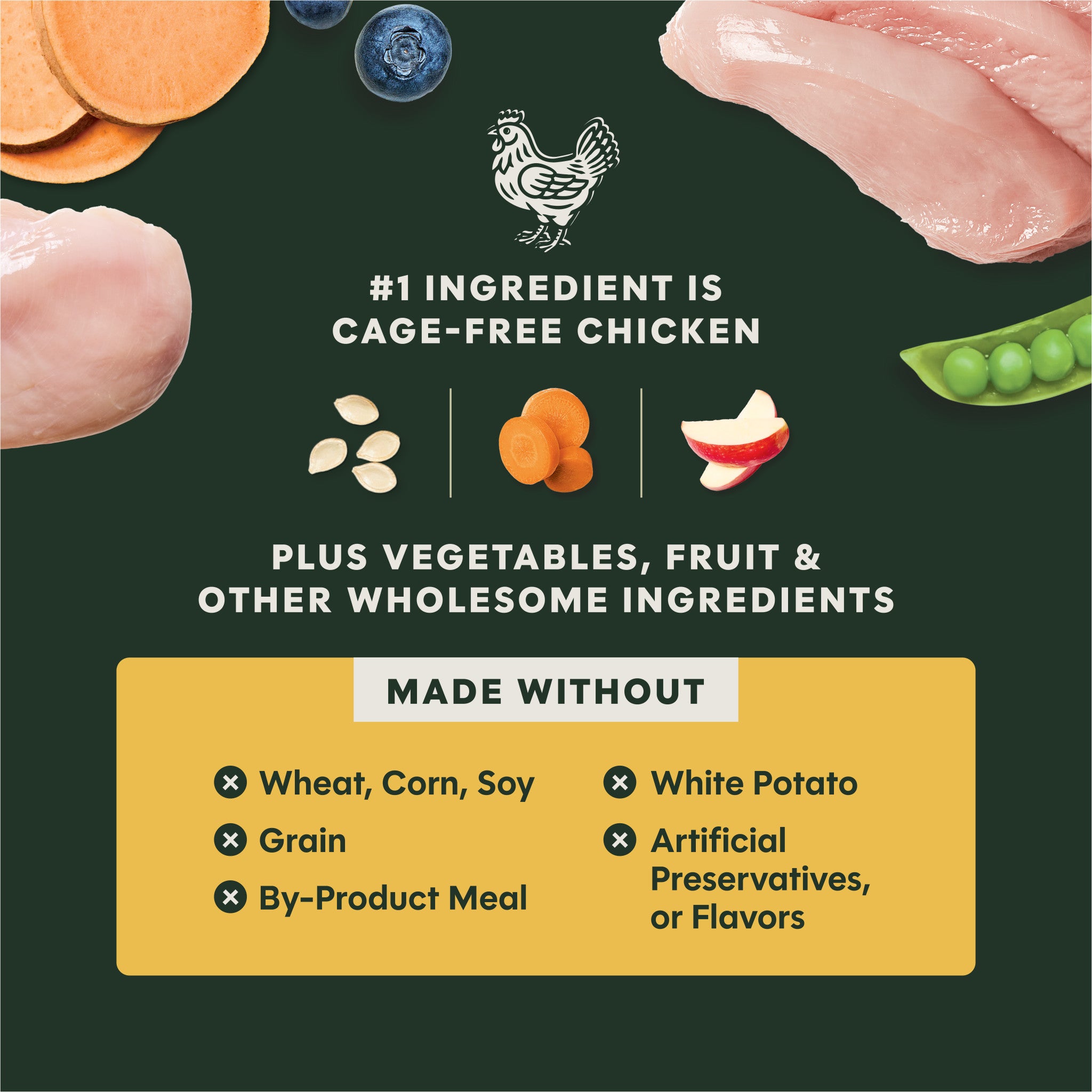 RawBoost+ Kibble Real Chicken Recipe