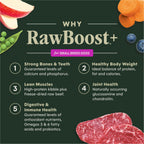 RawBoost+ Kibble for Small Breed Dogs Real Beef Recipe