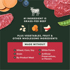 RawBoost+ Kibble for Small Breed Dogs Real Beef Recipe