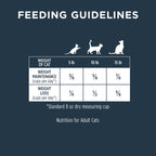 Raw Boost Kibble Healthy Weight Recipe