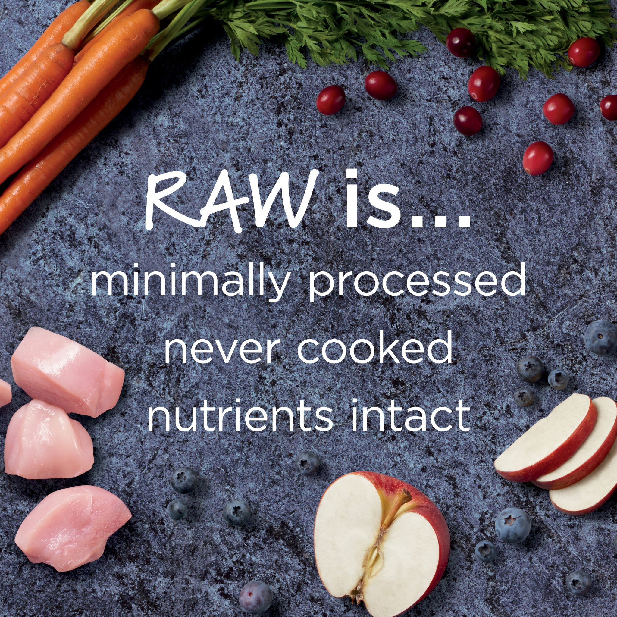 Raw Boost Kibble Healthy Weight Recipe