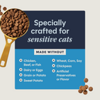 Limited Ingredient Diet Kibble Real Turkey Recipe