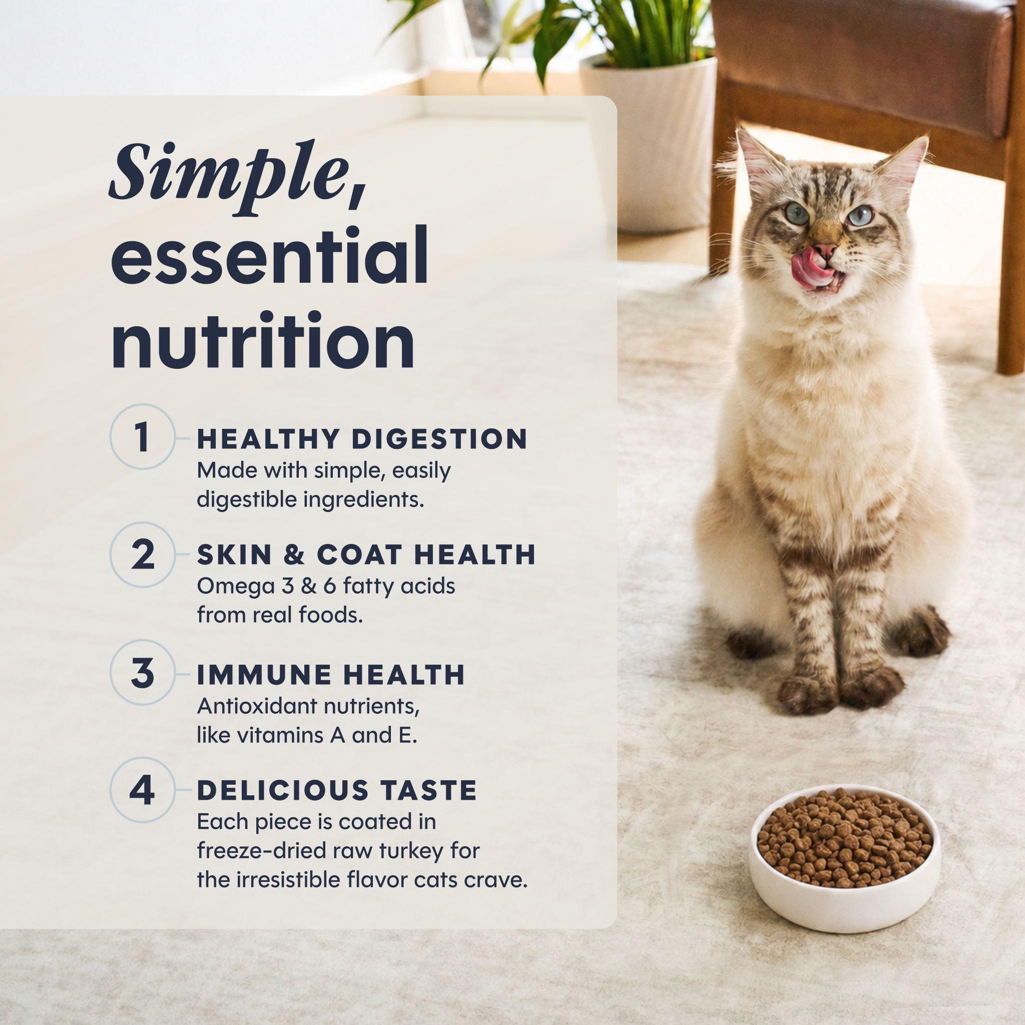 Limited Ingredient Diet Kibble Real Turkey Recipe