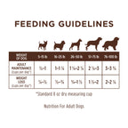 Limited Ingredient Diet Kibble Real Salmon Recipe