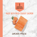 Limited Ingredient Diet Kibble Real Salmon Recipe
