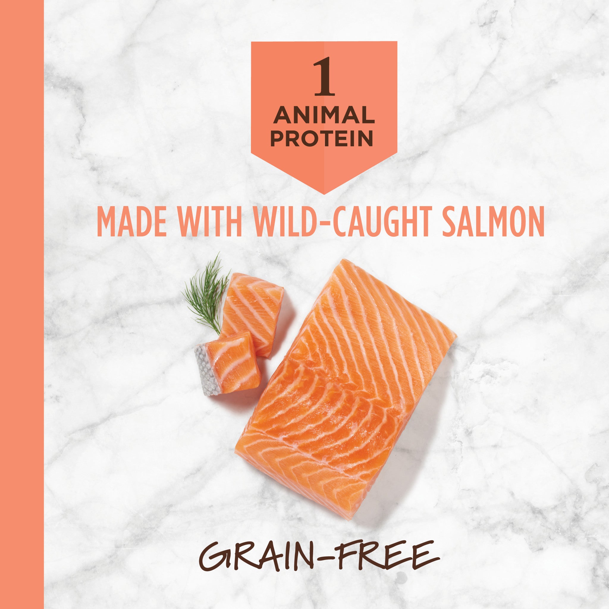Limited Ingredient Diet Kibble Real Salmon Recipe