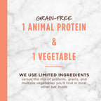 Limited Ingredient Diet Kibble Real Salmon Recipe