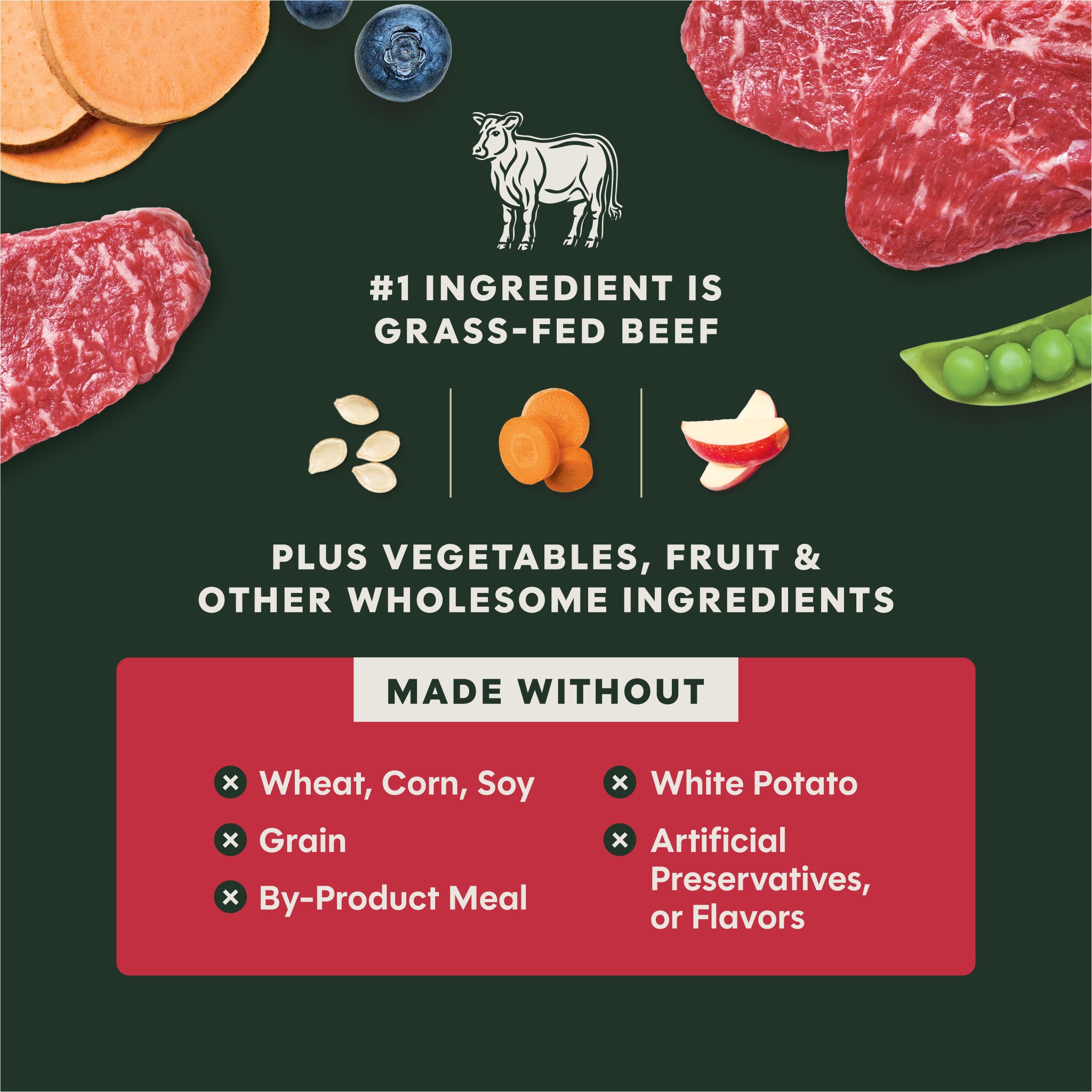 RawBoost+ Kibble Real Beef Recipe