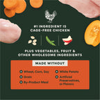 RawBoost+ Kibble Gut Health Recipe