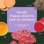 RawBoost+ Mixers Multivitamin Recipe