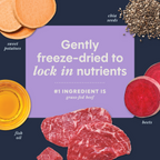 RawBoost+ Mixers Multivitamin Recipe