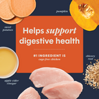 RawBoost+ Mixers Digestive Health Recipe