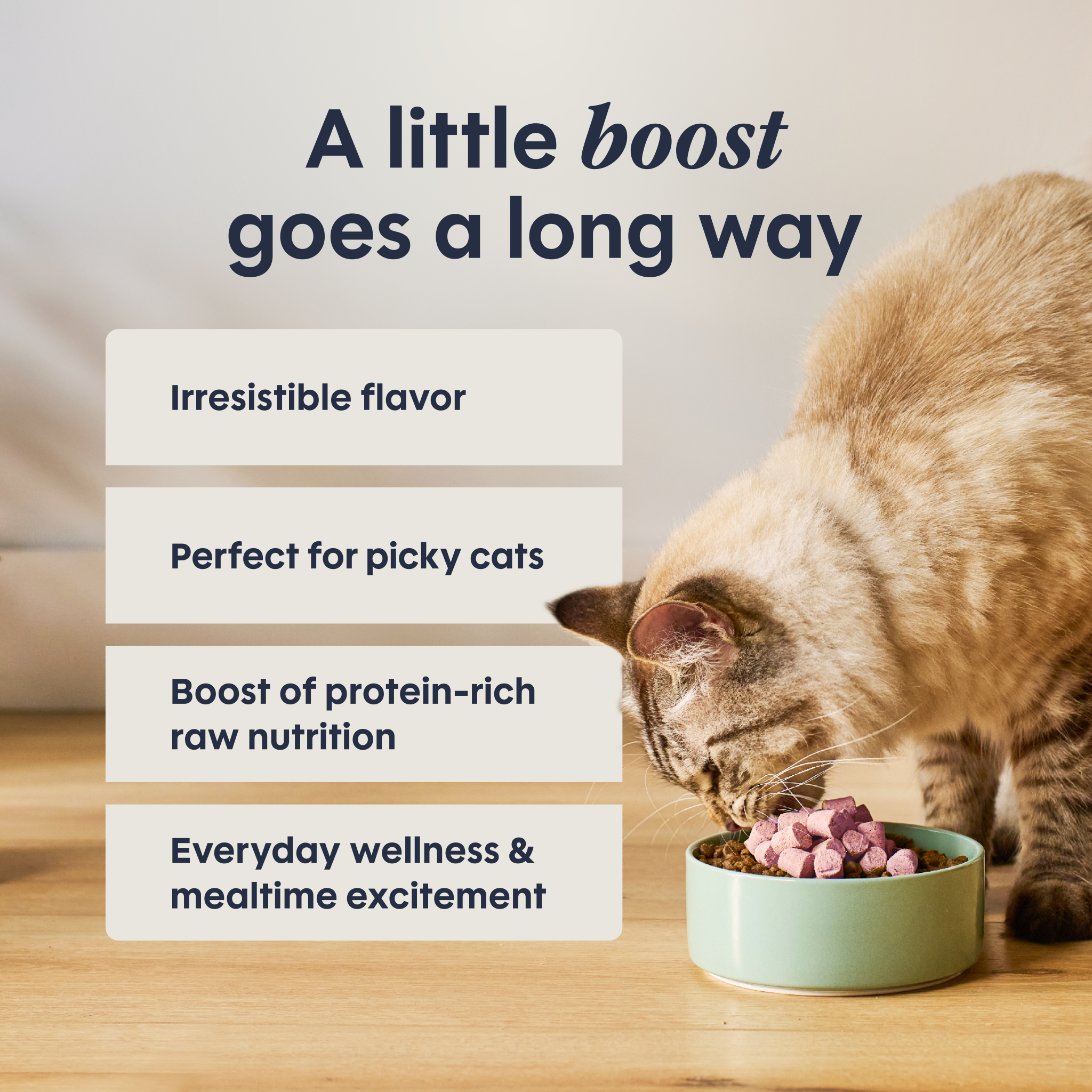 RawBoost+ Mixers Skin & Coat Health Recipe