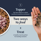 RawBoost+ Mixers Skin & Coat Health Recipe