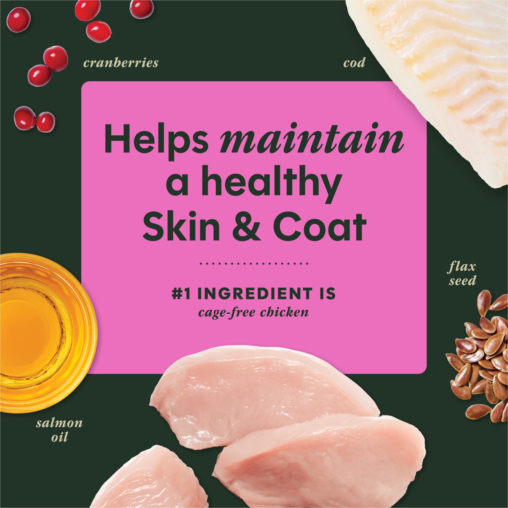 RawBoost+ Mixers Skin & Coat Health Recipe