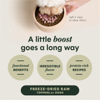 RawBoost+ Mixers Skin & Coat Health Recipe