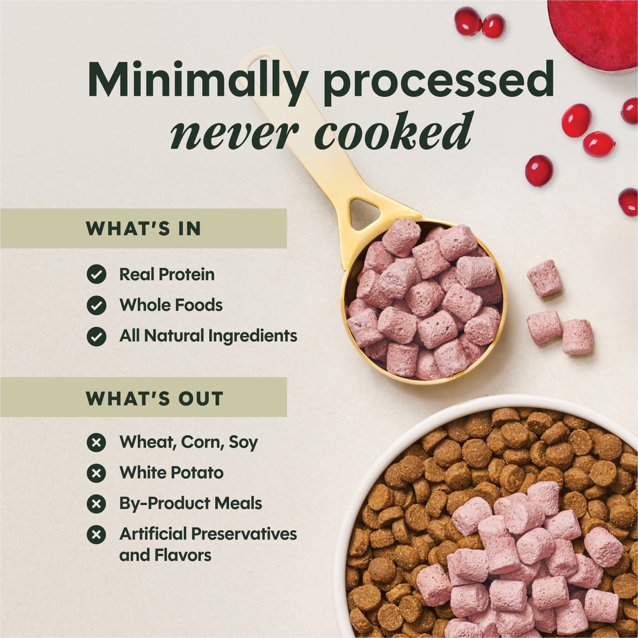 RawBoost+ Mixers Skin & Coat Health Recipe