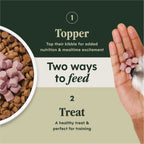 RawBoost+ Mixers Skin & Coat Health Recipe