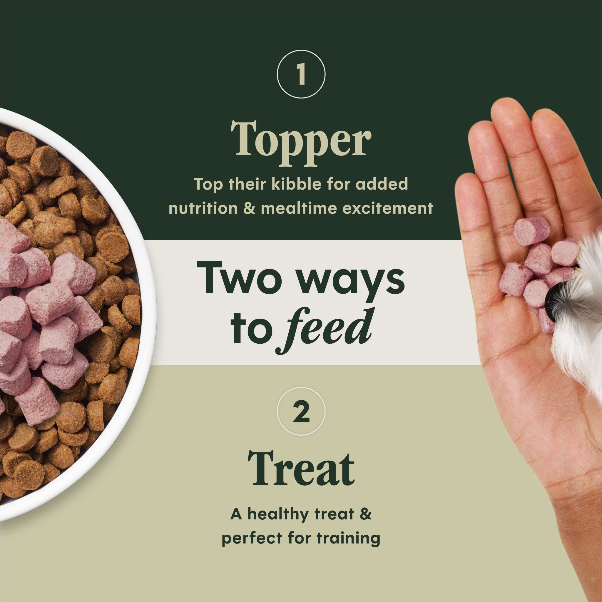 RawBoost+ Mixers Skin & Coat Health Recipe