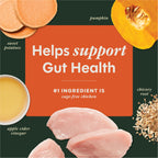 RawBoost+ Mixers Gut Health Recipe