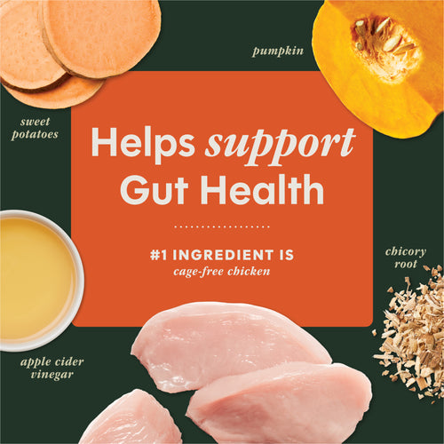 RawBoost+ Mixers Gut Health Recipe