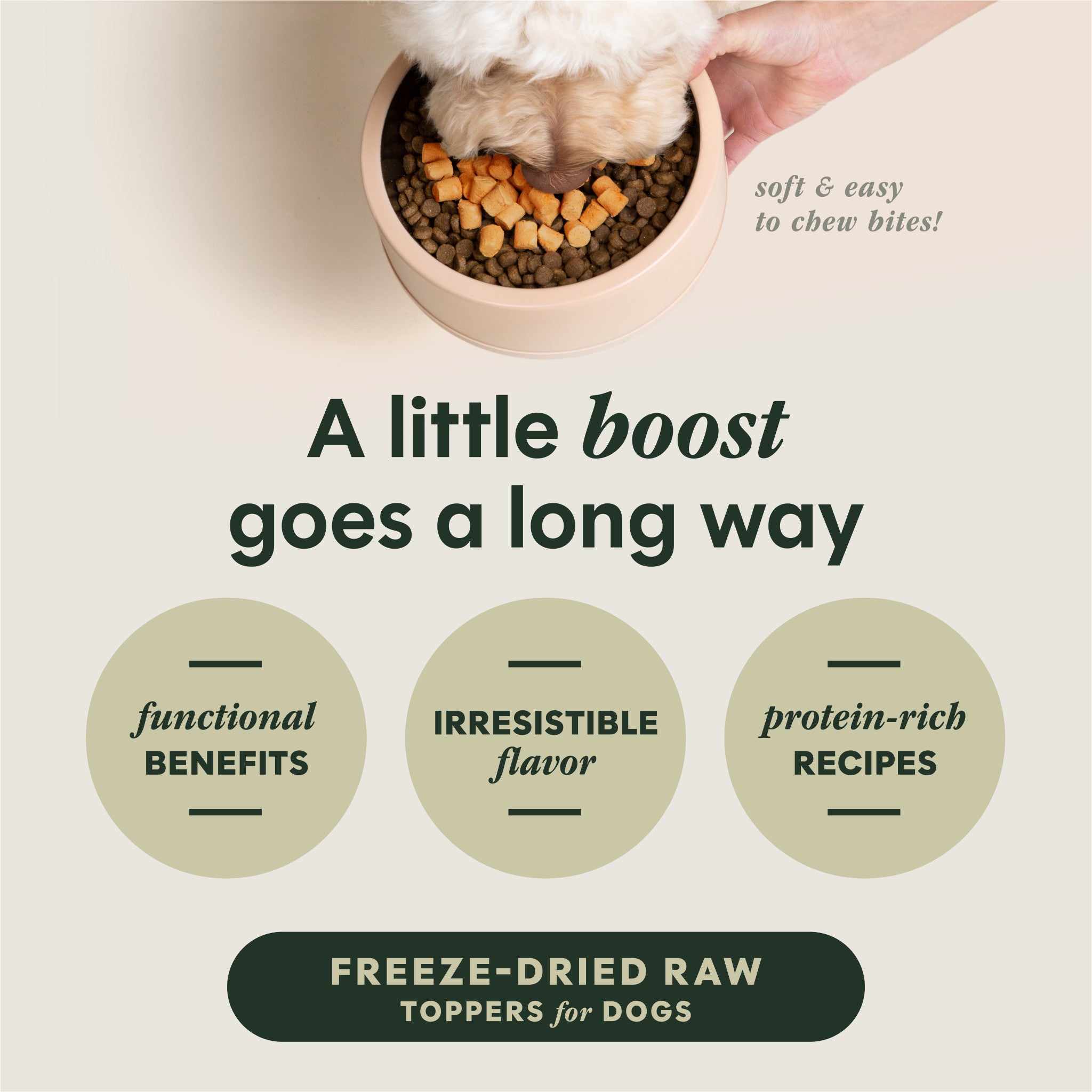 RawBoost+ Mixers Gut Health Recipe – Instinct Pet Food