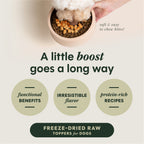 RawBoost+ Mixers Gut Health Recipe