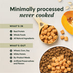 RawBoost+ Mixers Gut Health Recipe