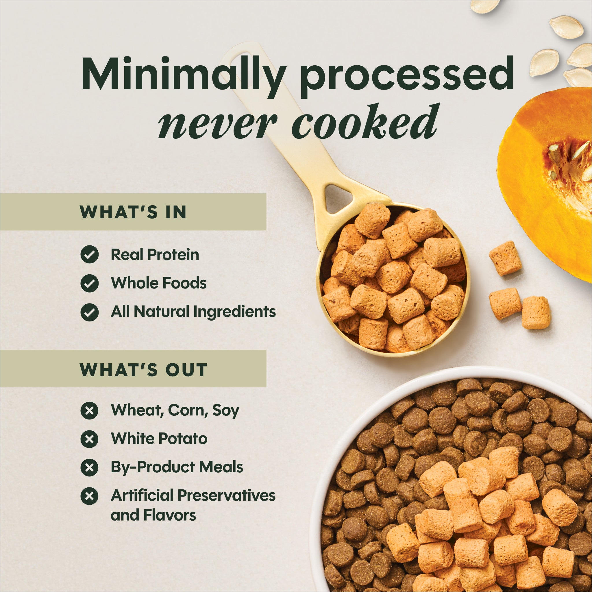 RawBoost+ Mixers Gut Health Recipe