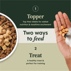 RawBoost+ Mixers Gut Health Recipe