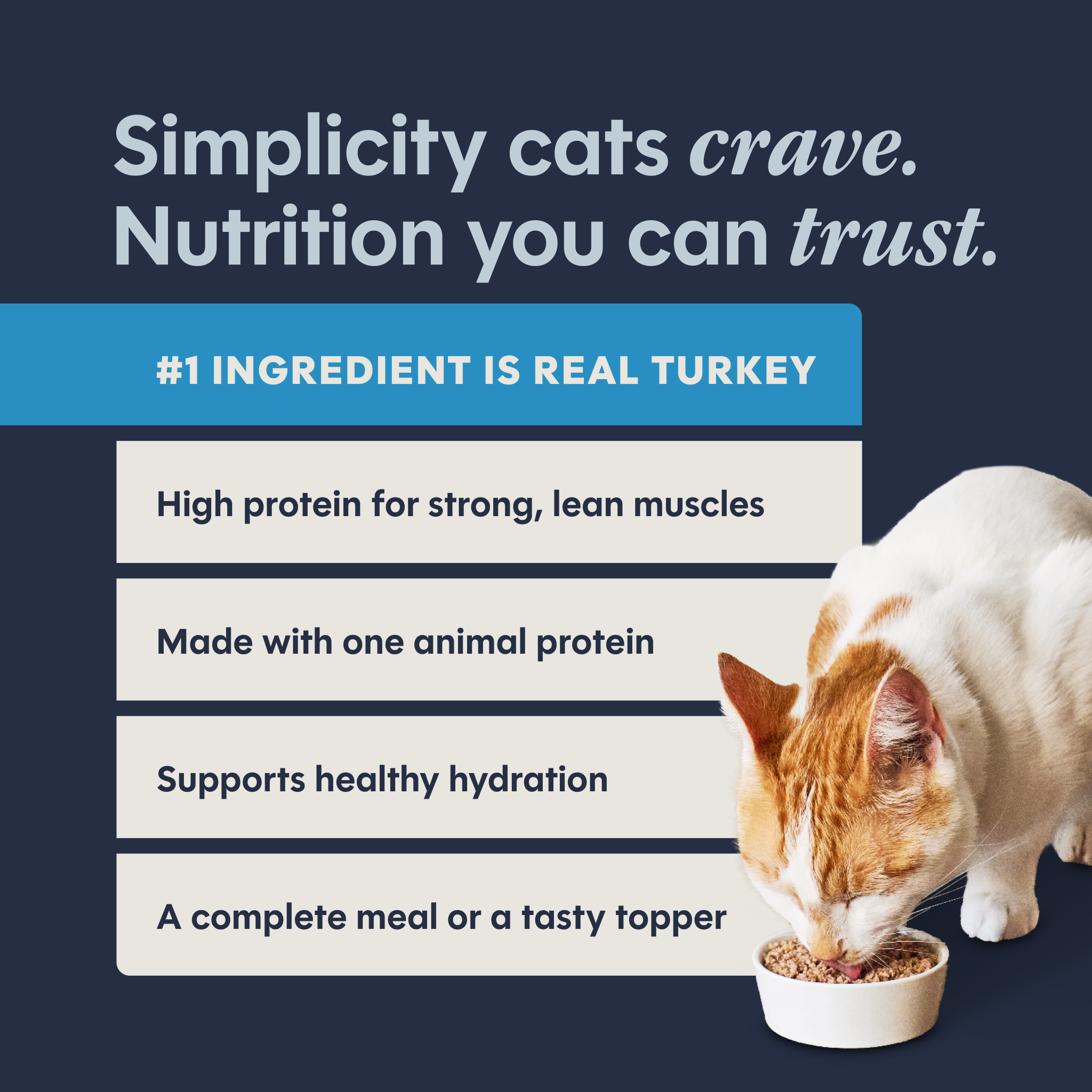 Limited Ingredient Diet Patés Real Turkey Recipe