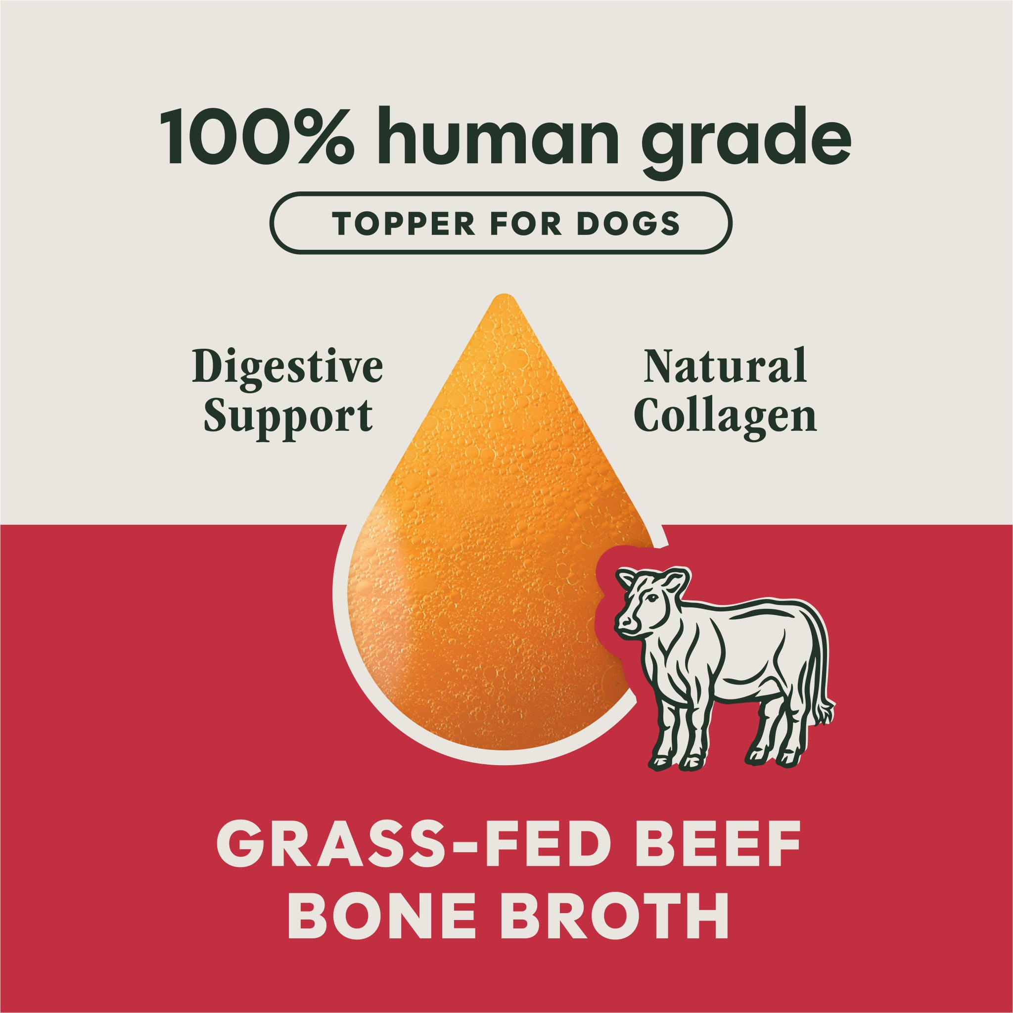 Grass-Fed Beef Bone Broth
