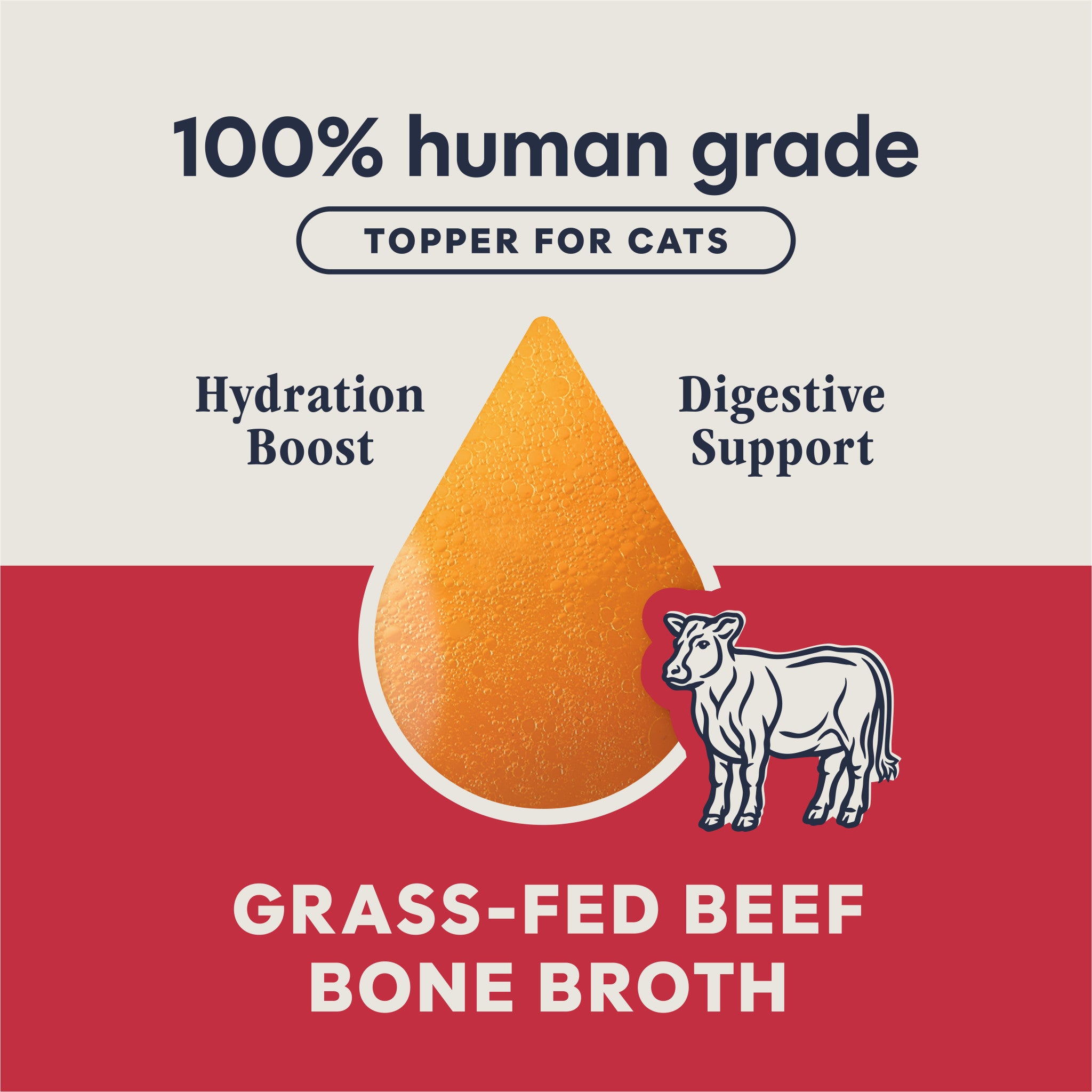 Grass-Fed Beef Bone Broth