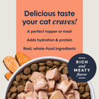 Healthy Cravings Toppers Real Salmon Recipe