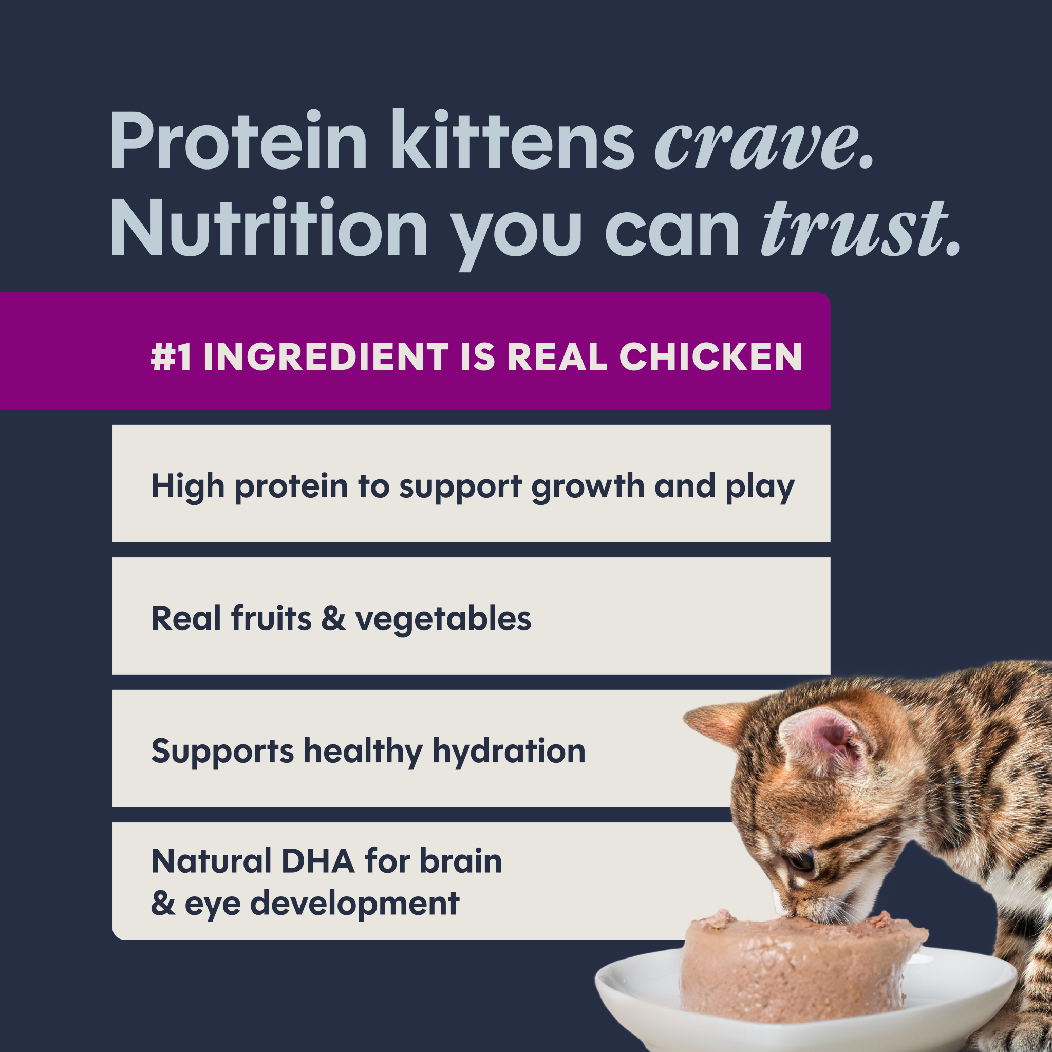 Original Patés for Kittens Chicken Recipe