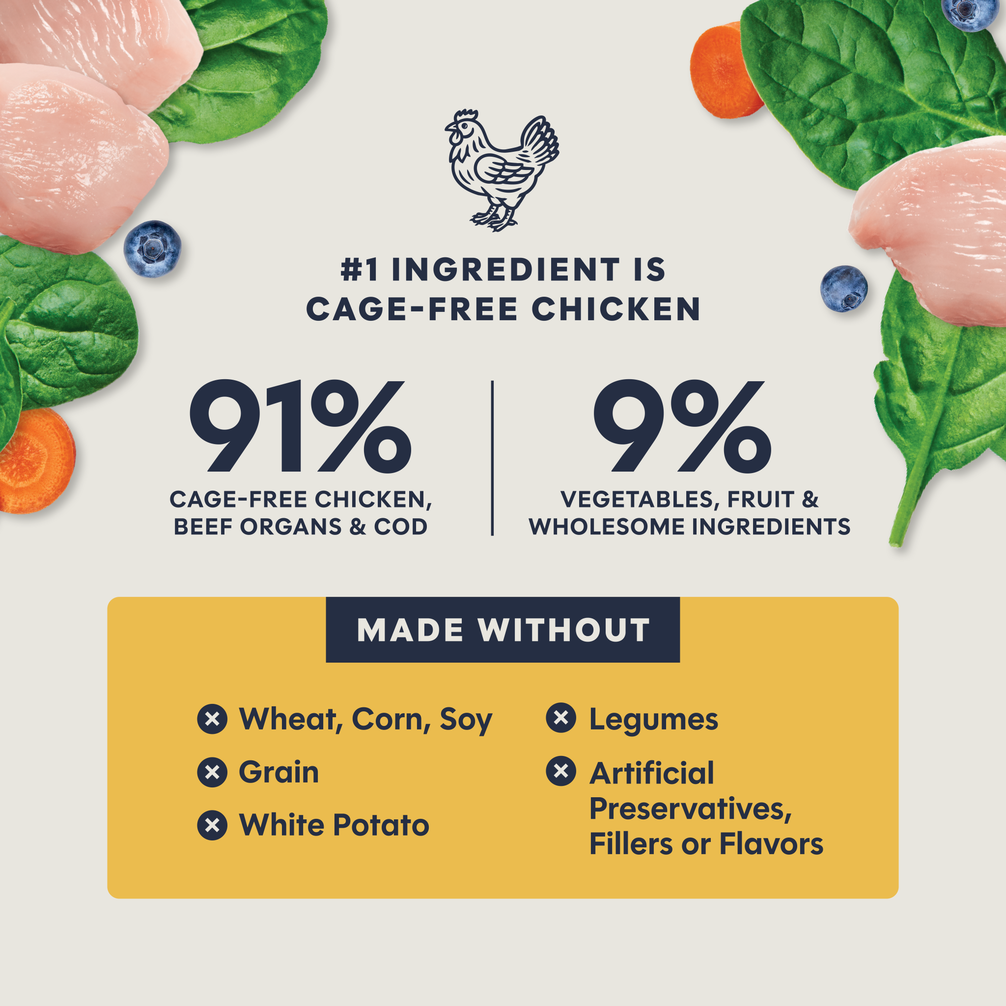FreshDried Raw Meals for Kittens Chicken Recipe