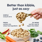 FreshDried Raw Meals Wild-Caught Pollock Recipe