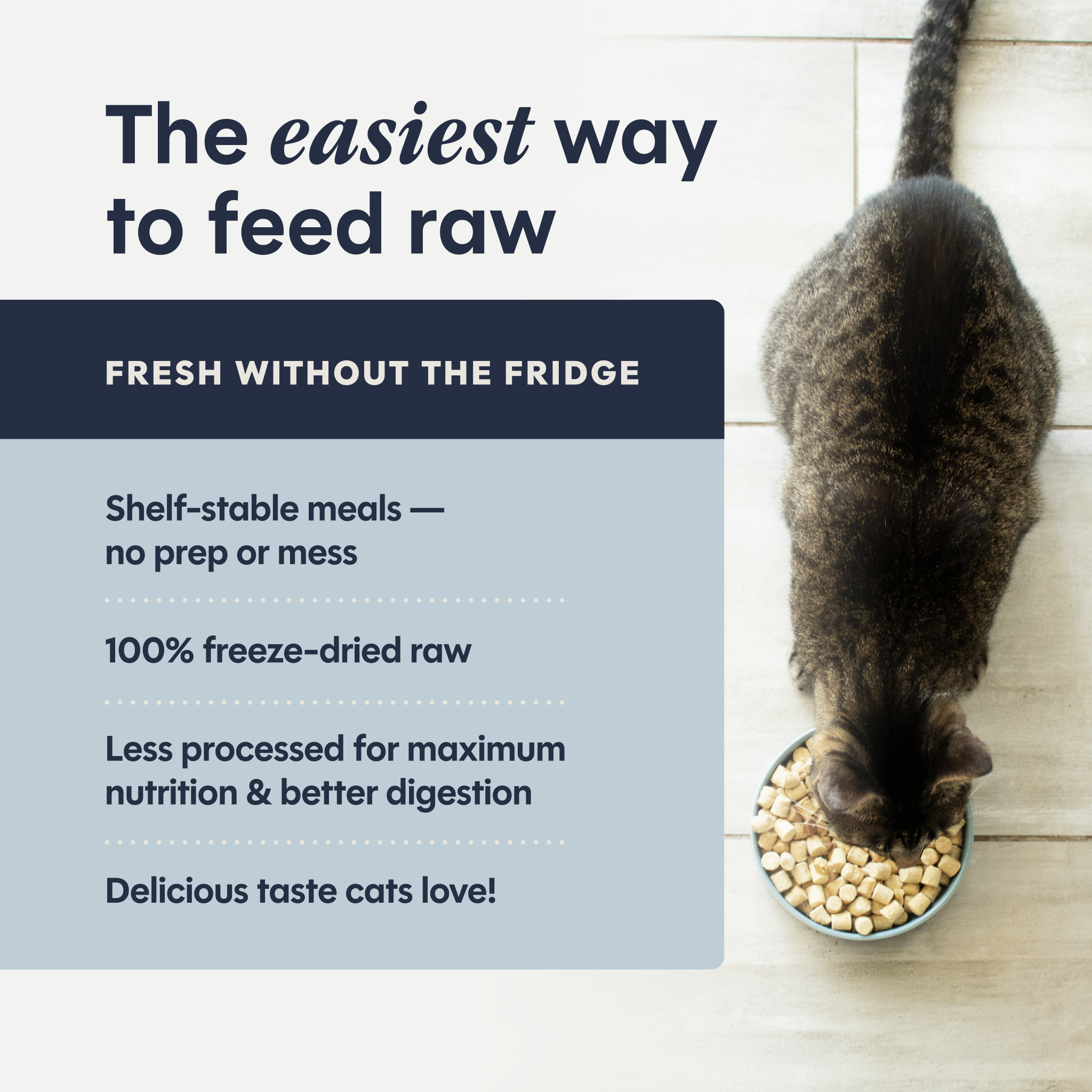 FreshDried Raw Meals Wild-Caught Pollock Recipe