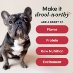 RawBoost+ Shakers Grass-Fed Beef Recipe