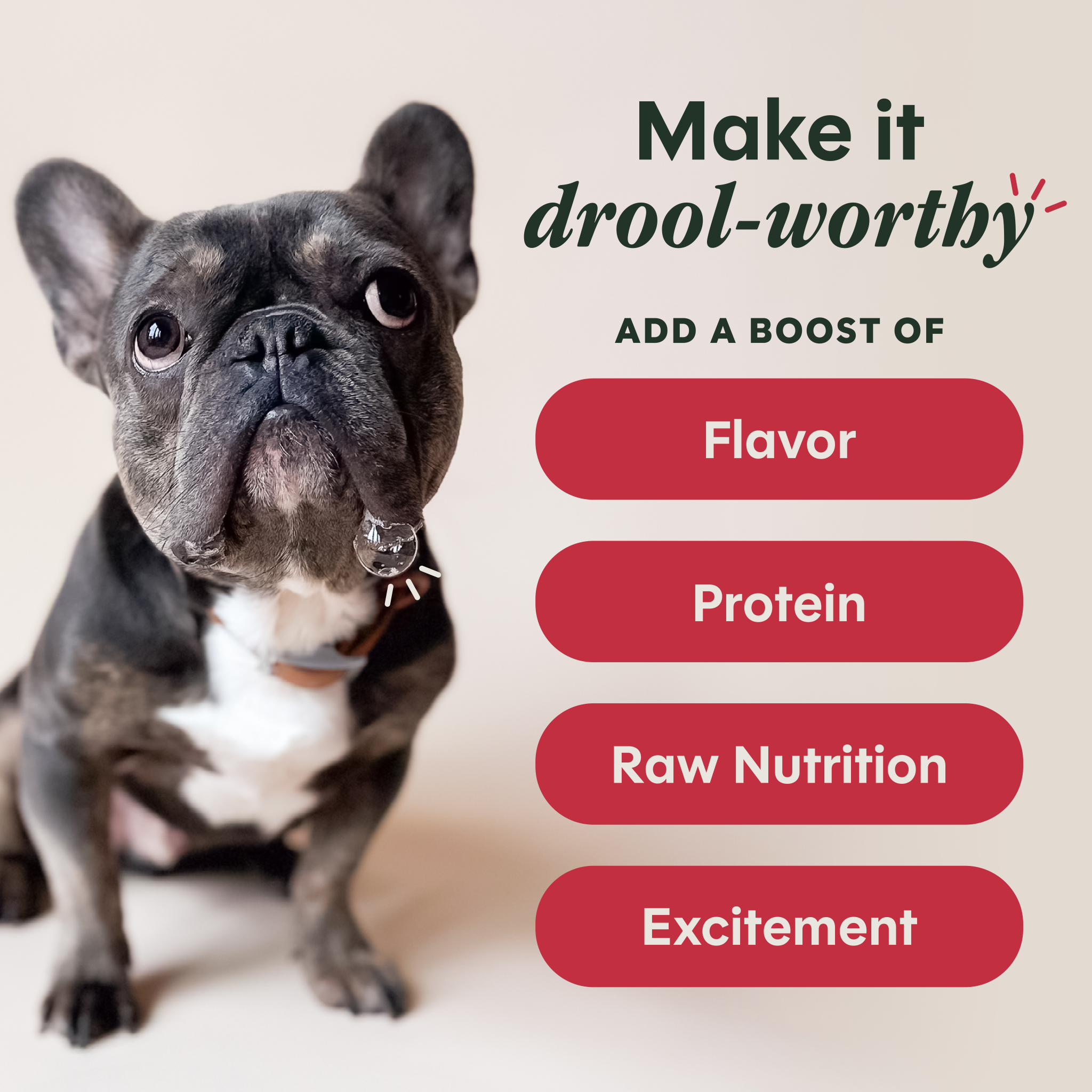 RawBoost+ Shakers Grass-Fed Beef Recipe