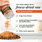 RawBoost+ Shakers Gut Health Recipe